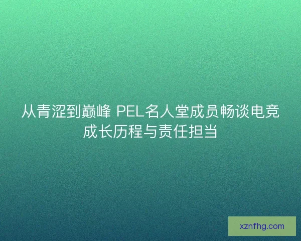 从青涩到巅峰 PEL名人堂成员畅谈电竞成长历程与责任担当