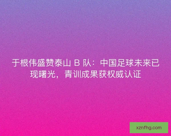 于根伟盛赞泰山 B 队：中国足球未来已现曙光，青训成果获权威认证